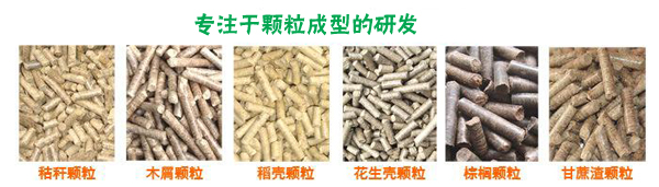 吉姆克专注于颗粒成型机械的研发 吉姆克专注于颗粒成型机械的研发