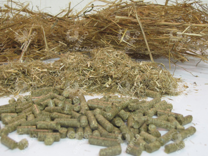 牧草颗粒 牧草颗粒