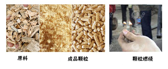 生物质燃料 生物质燃料