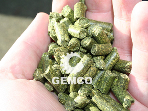 草颗粒加工设备可以压制出大小均匀、表面光滑的颗粒 草颗粒加工设备可以压制出大小均匀、表面光滑的颗粒